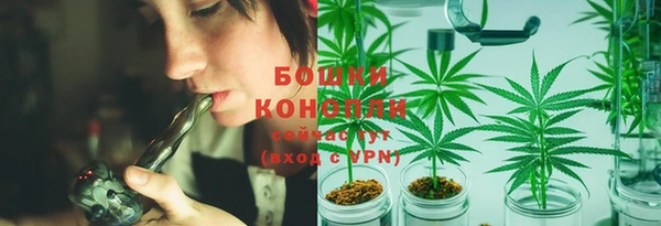 гидропоника Горняк