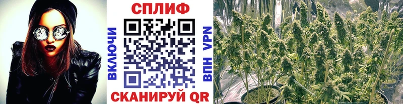Купить закладки  Аргун  Шишки марихуана конопля 